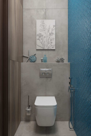 Ванная комната, дизайн проект, унитаз, гигиенический душ, дизайн студия Васильевой Дарьи