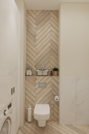 Ванная комната, дизайн проект, унитаз, гигиенический душ, шкаф с встроенной стиральной машиной, дизайн студия Васильевой Дарьи
